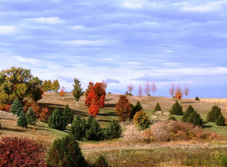 The Brenton Arboretum, United States